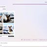 Bing image creator exporting an image of a yorkie